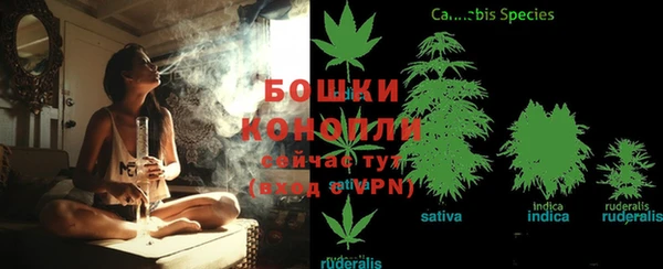 молекула духа Богородск