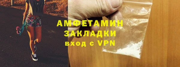 ПСИЛОЦИБИНОВЫЕ ГРИБЫ Богданович