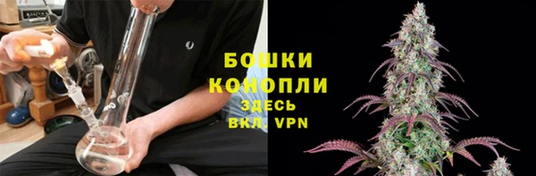 молекула духа Богородск