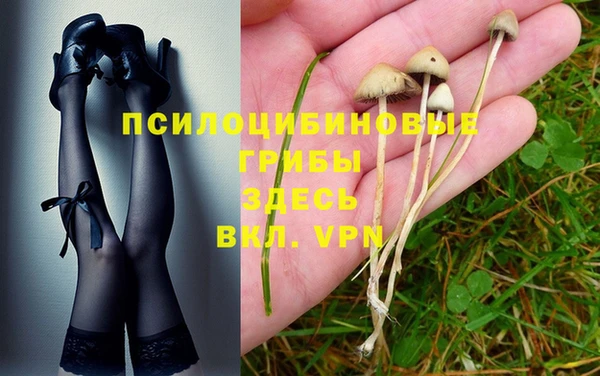 молекула духа Богородск