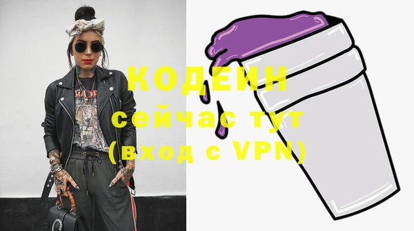 ПСИЛОЦИБИНОВЫЕ ГРИБЫ Богданович