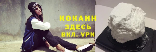 ПСИЛОЦИБИНОВЫЕ ГРИБЫ Богданович