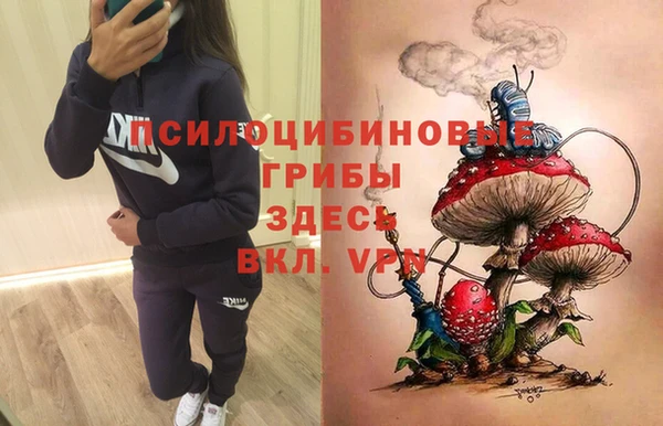 ПСИЛОЦИБИНОВЫЕ ГРИБЫ Богданович
