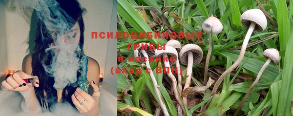 каннабис Богородицк