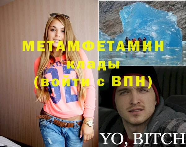 ПСИЛОЦИБИНОВЫЕ ГРИБЫ Богданович
