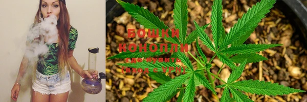 молекула духа Богородск