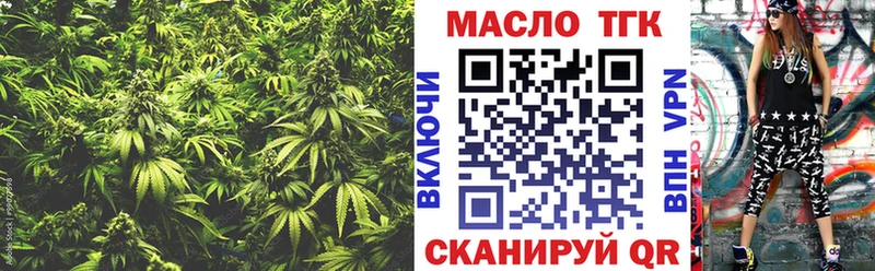 сколько стоит  Бородино  ТГК концентрат 