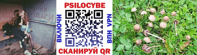 Псилоцибиновые грибы ЛСД  дарк нет как зайти  Бородино 