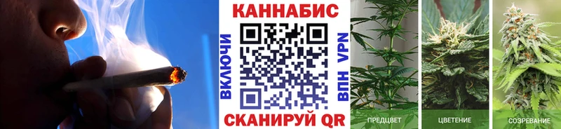 Каннабис Amnesia закладка Бородино